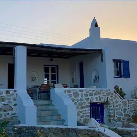 Elena Villa *